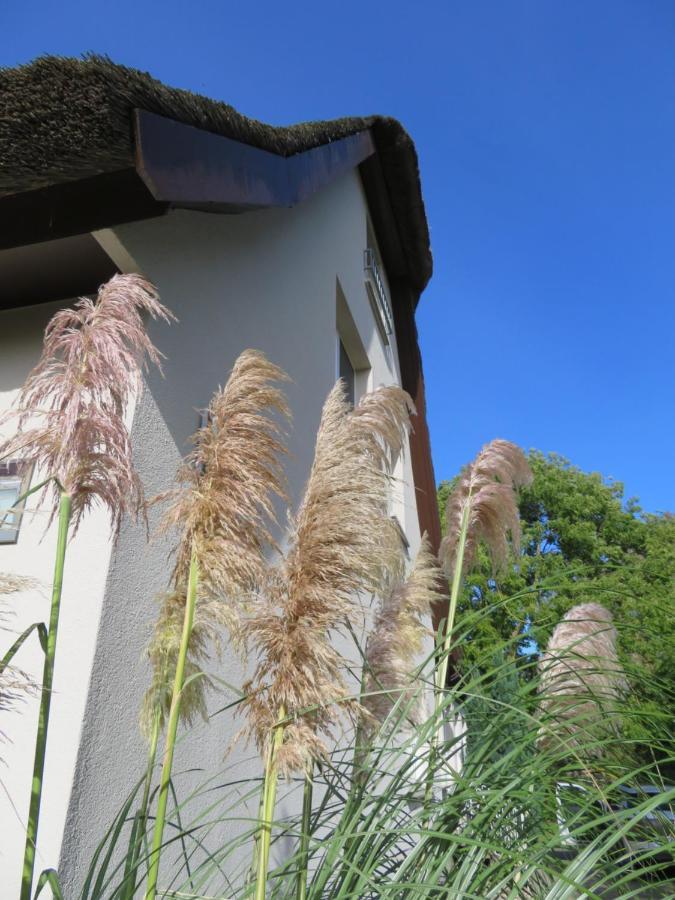 Appartamento Boddenhaus Darss Wieck Esterno foto